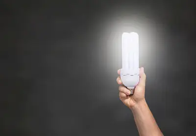 Fridge energy guide: Best tips for efficient appliance use