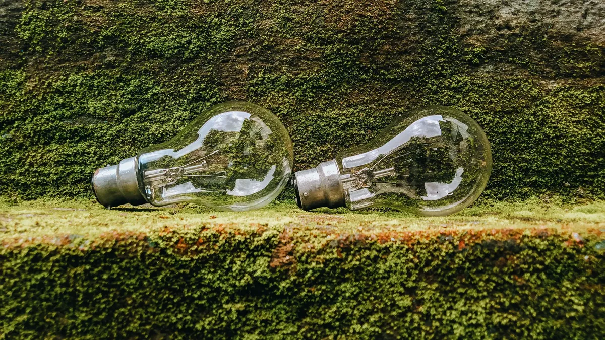 Close-up of glass light bulbs resting on a vibrant moss-covered surface.